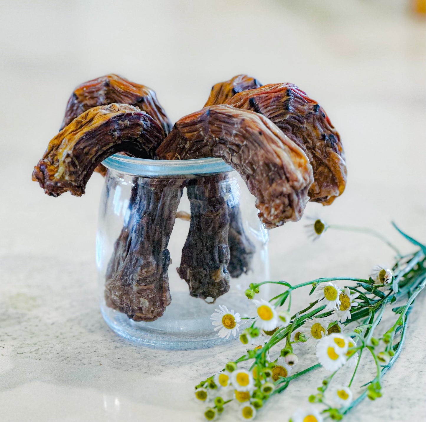 Air Dried Chicken Neck