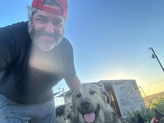 🐾 From Pasture to Paw: Why Single-Ingredient Treats Are the Healthiest Choice for Your Dog