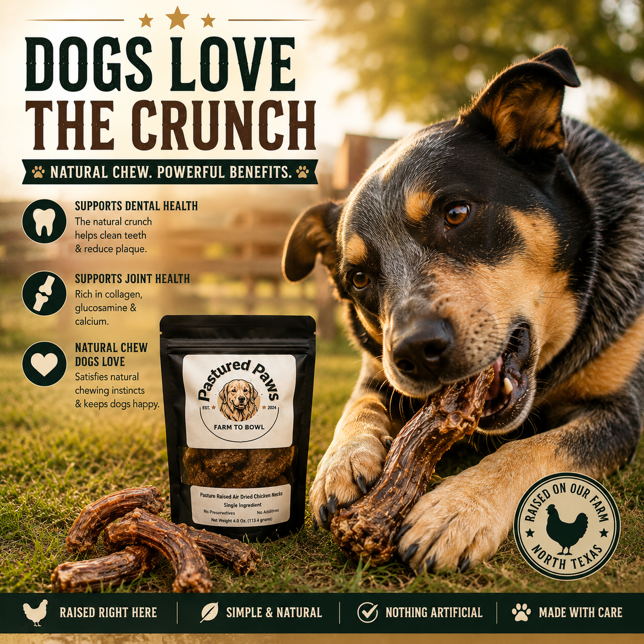 Air-Dried Chicken Necks for Dogs & Cats